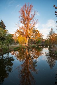 Laguna del Parque Sarmiento