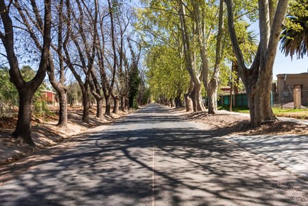 Allee vor dem Weingut CarinaE in Maipú, Mendoza