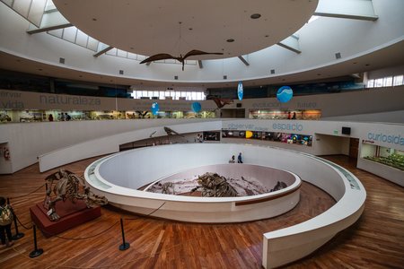 Museo Provincial de Ciencias Naturales Dr. Arturo Umberto Illía