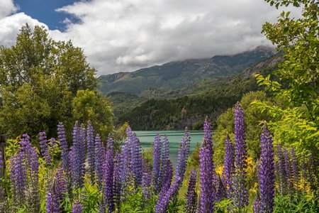 Parque Nacional Los Alerces